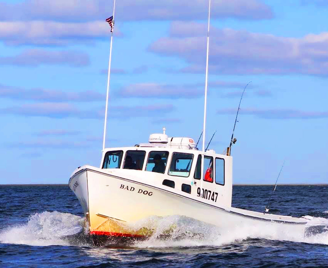 Saturday September 20th Winter Flounder