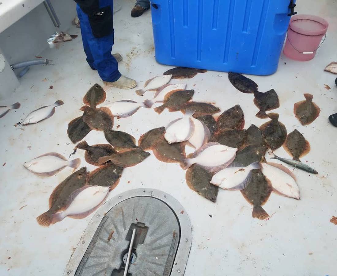 Saturday September 20th Winter Flounder