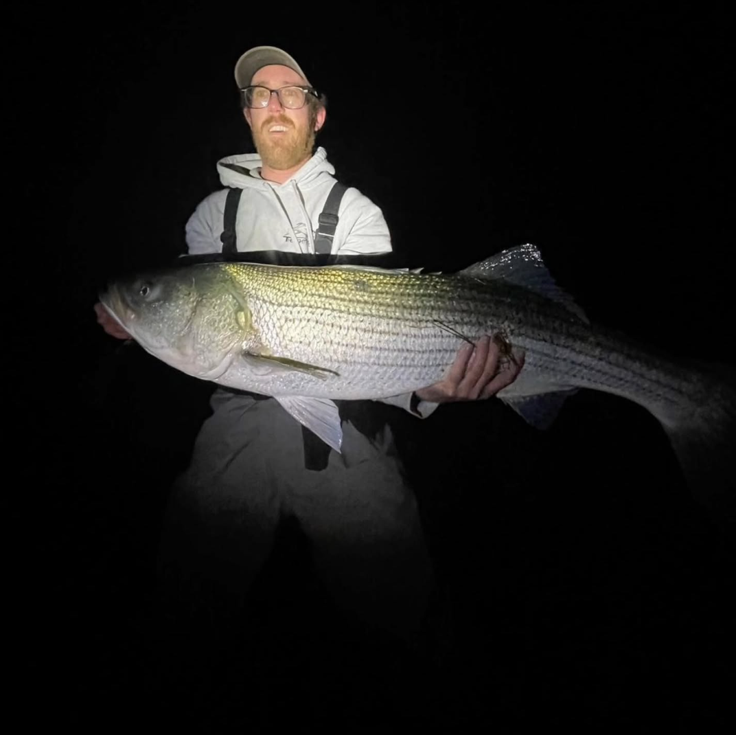 Surfcasting Zoominar Series