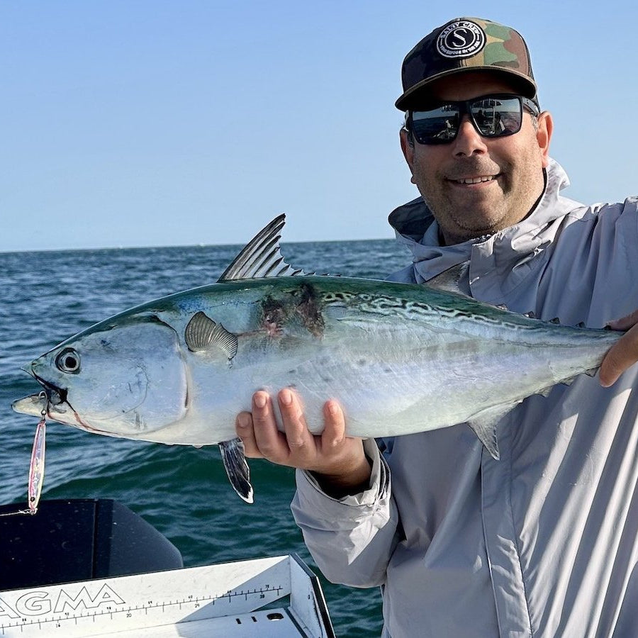 Tuesday September 22nd Albies & Bonito with Captain Tyler