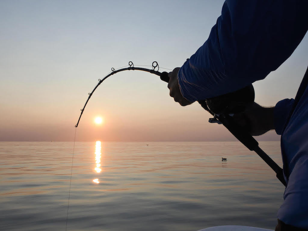 Wednesday July 2nd Rec Tuna