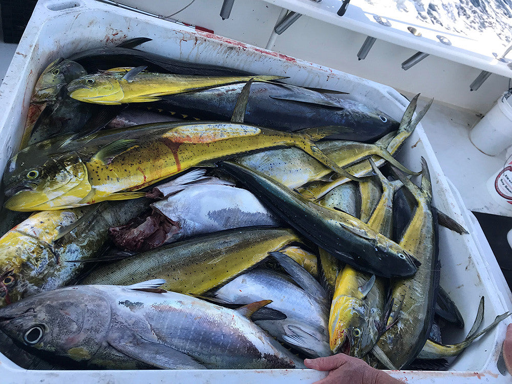 July 20-21 Overnight Canyons with Captain Willy