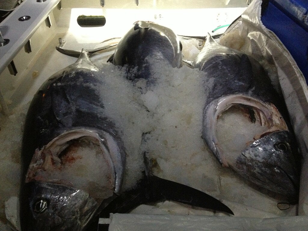 July 20-21 Overnight Canyons with Captain Willy