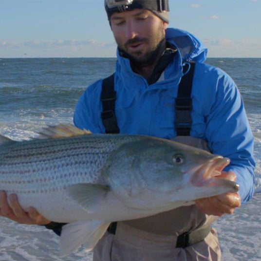 Surfcasting Zoominar Series (April)