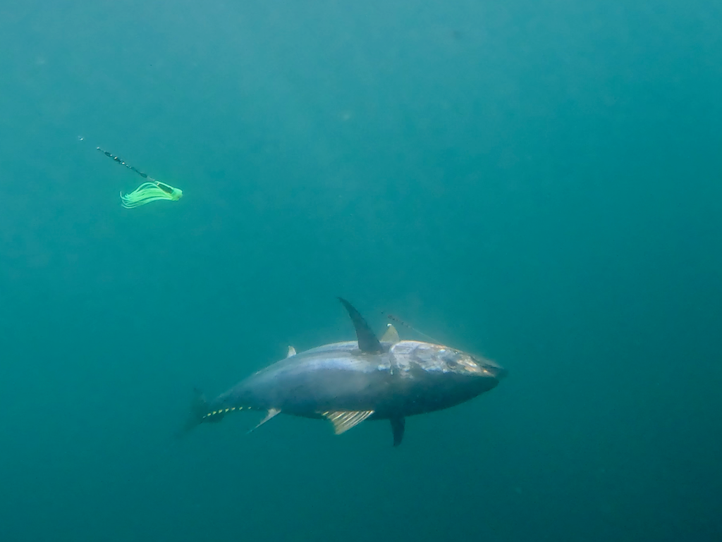 July 20-21 Overnight Canyons with Captain Willy