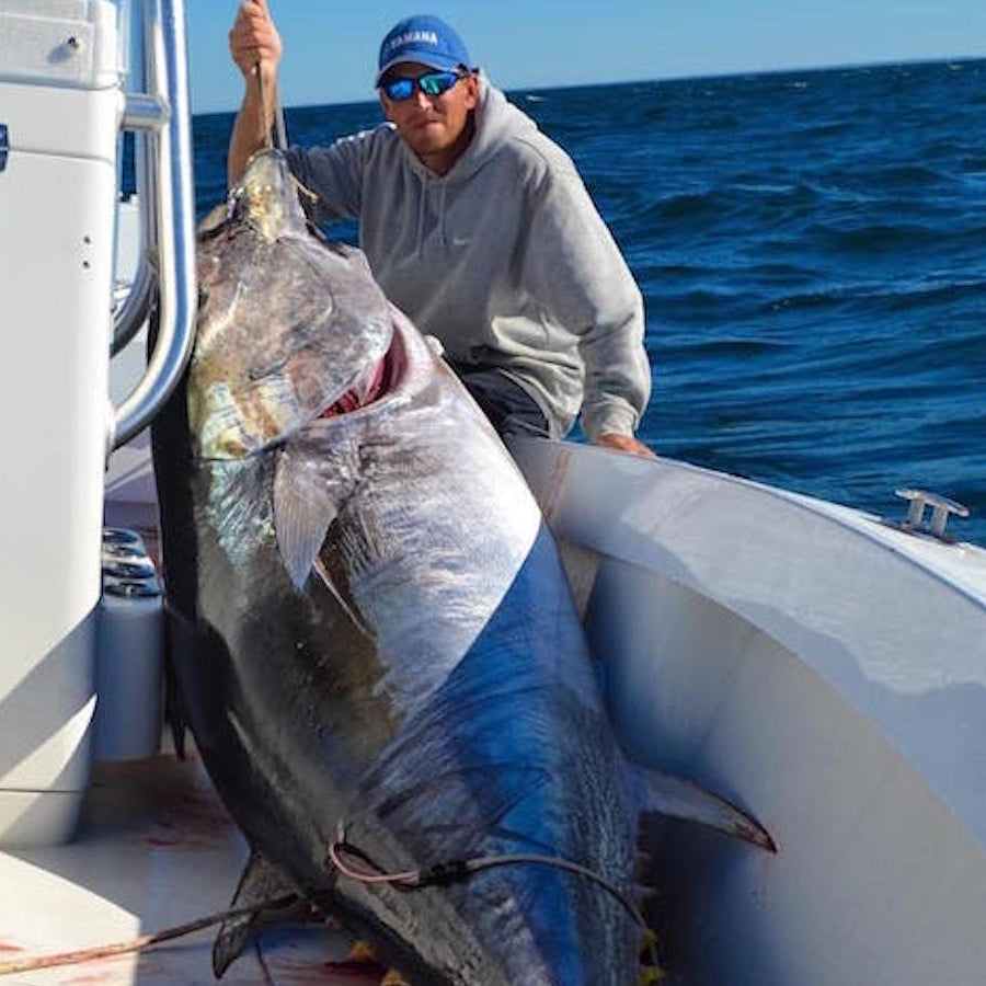 Monday August 31st Giant Bluefin Tuna with Captain Cullen