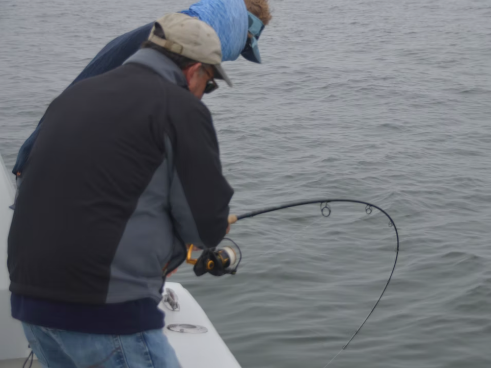 Friday May 22nd Black Sea Bass with Captain Cullen