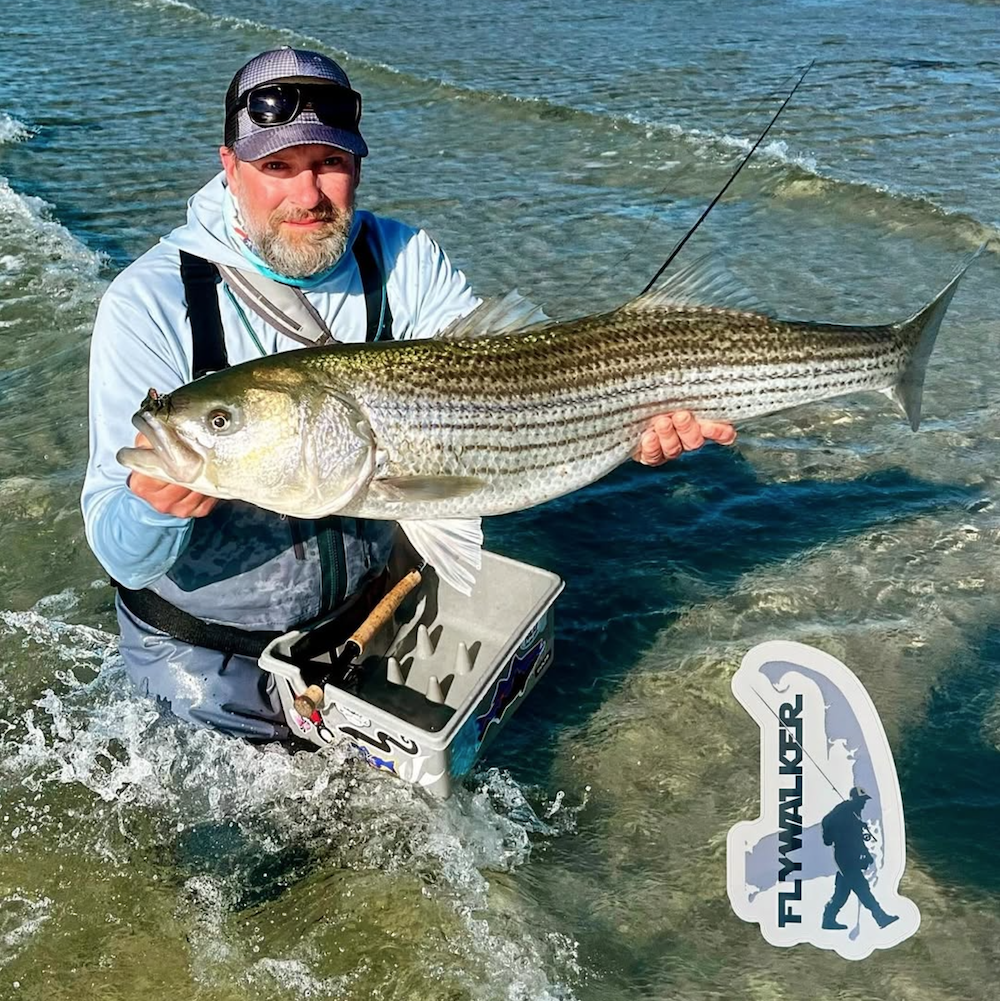 Fly Fishing Zoominar Series