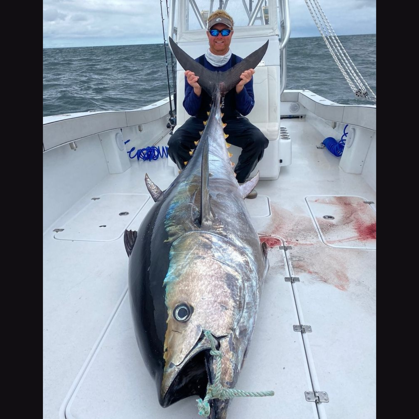 February Tuna Zoominar Series