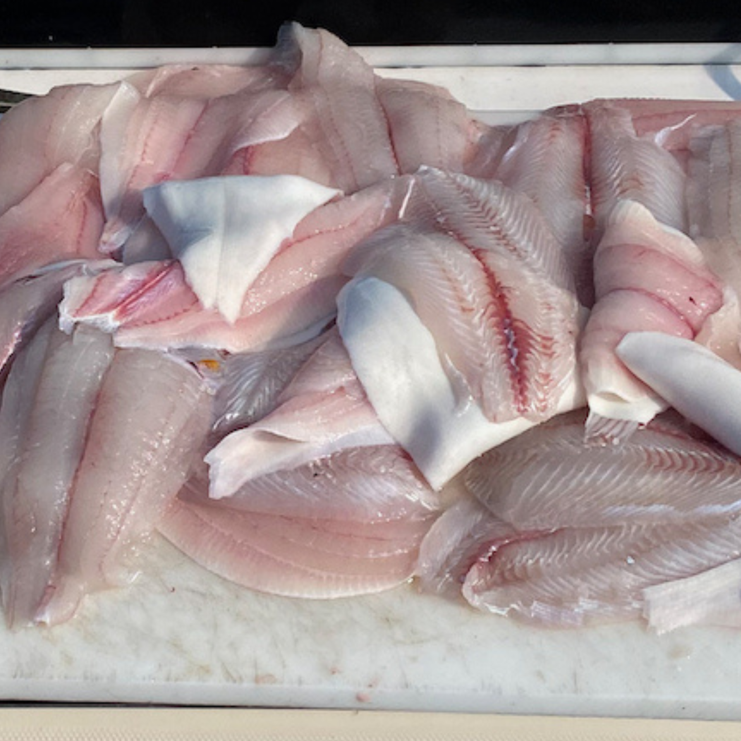 Sunday July 26th Trophy Fluke with Captain Jimmy