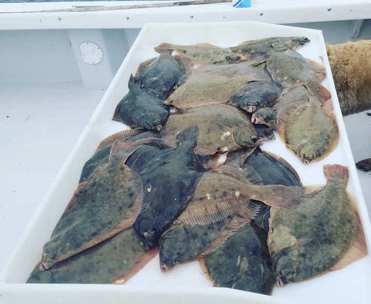 Wednesday June 24th Winter Flounder with Captain Mike Fowler (afternoon)
