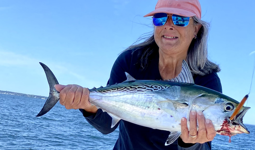 Tuesday September 15th Albies & Bonito with Captain Tyler