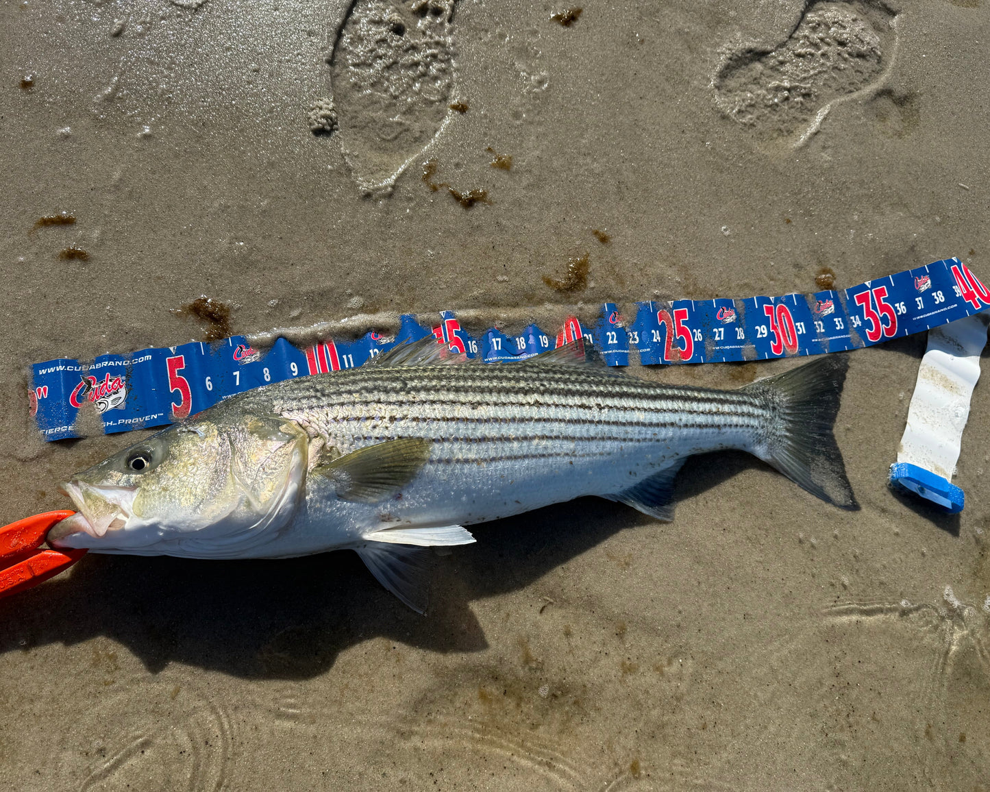 36hr Grind Surfcasting Tournament — Fall 2026