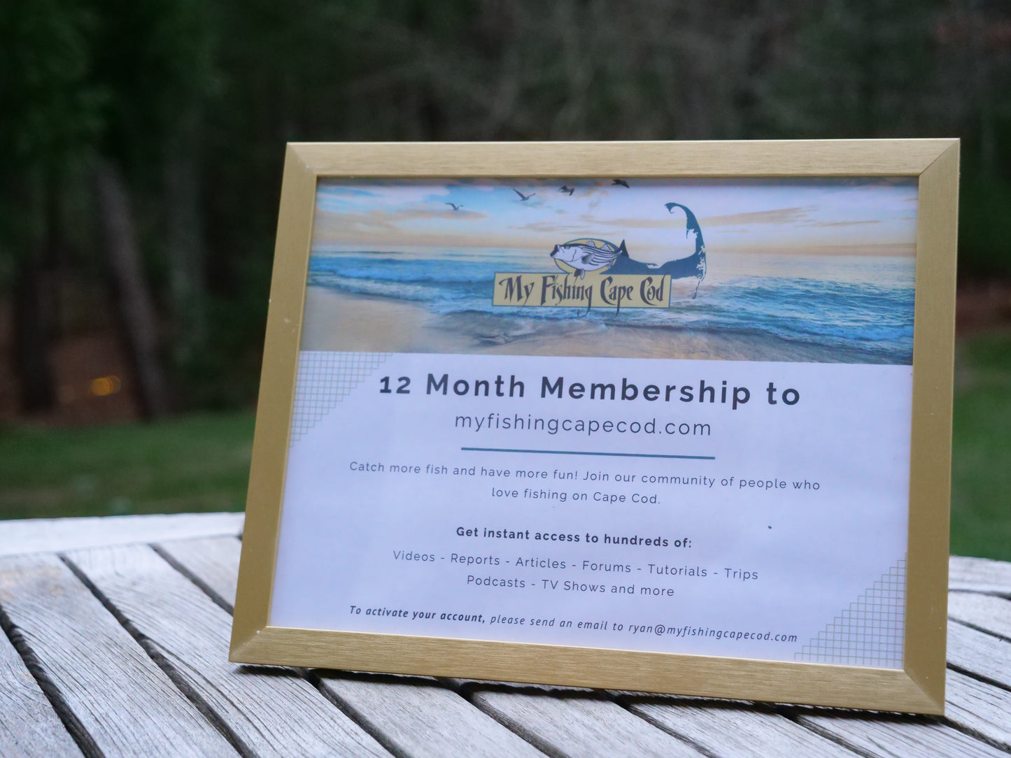 My Fishing Cape Cod Gift Memberships