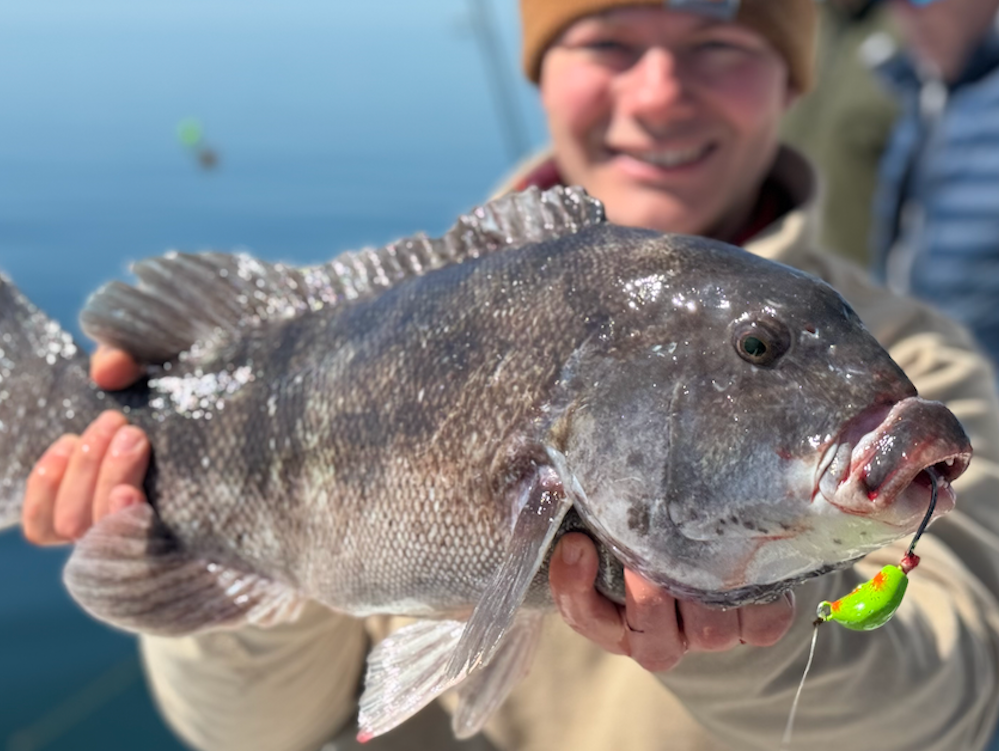 Sunday September 28th Tautog