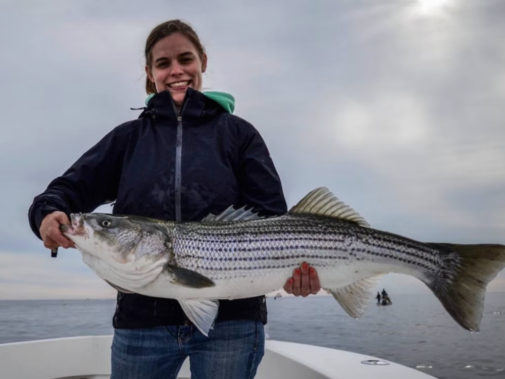 Tuesday October 29th Stripers with Captain Tyler