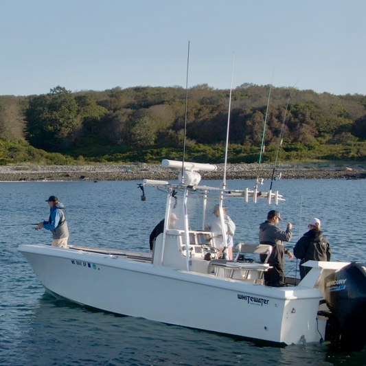 Wednesday June 10th Striped Bass with Captain Tyler