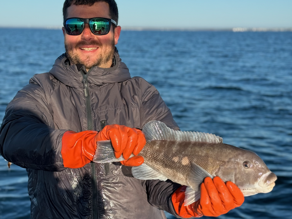 Sunday September 28th Tautog