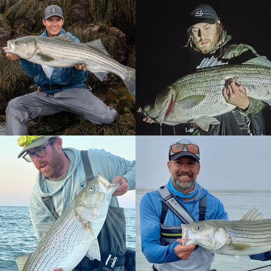 Surfcasting Zoominar Series