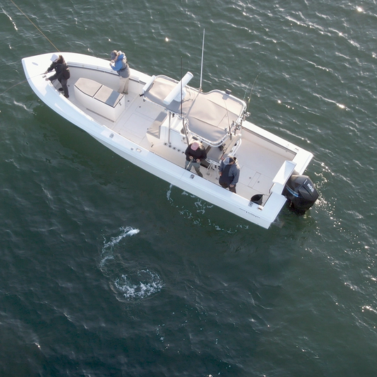 Tuesday July 21st Striped Bass with Captain Tyler (mid morning)