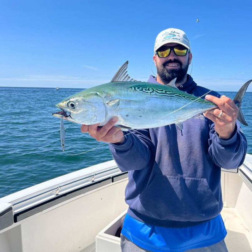 Tuesday September 15th Albies & Bonito with Captain Tyler