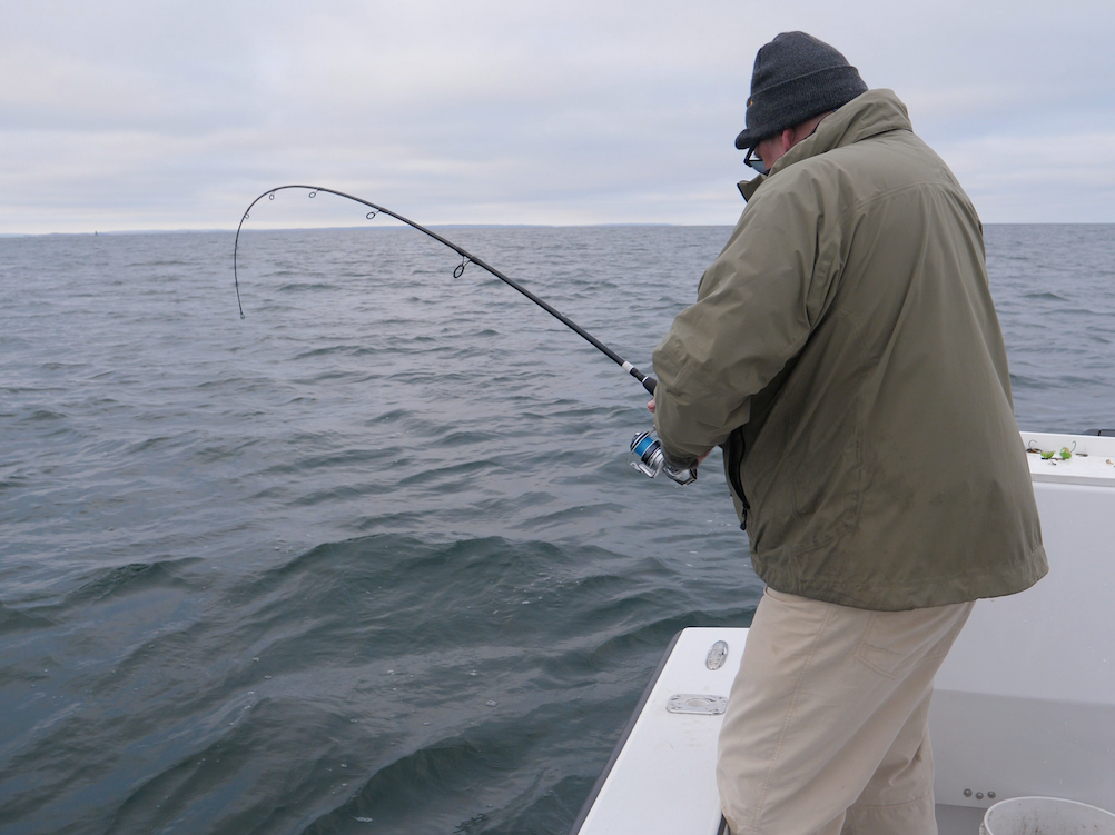 Friday November 8th Tautog with Captain Tyler