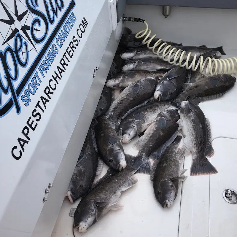 Friday May 1st Tautog with Captain Cullen (Sunrise)