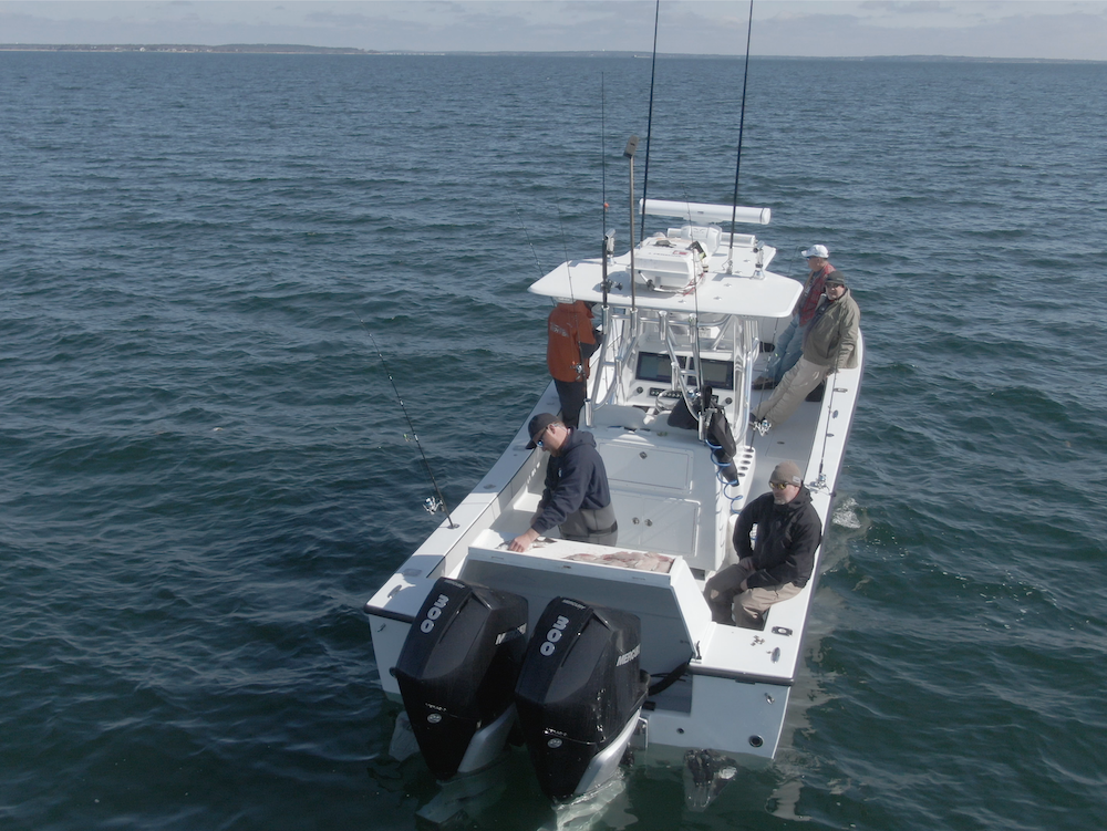 Friday May 22nd Black Sea Bass with Captain Cullen