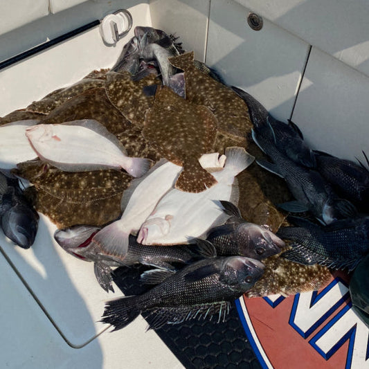 Sunday July 26th Trophy Fluke with Captain Jimmy