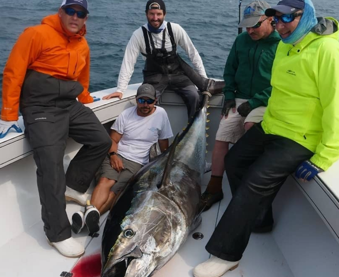 Monday August 31st Giant Bluefin Tuna with Captain Cullen