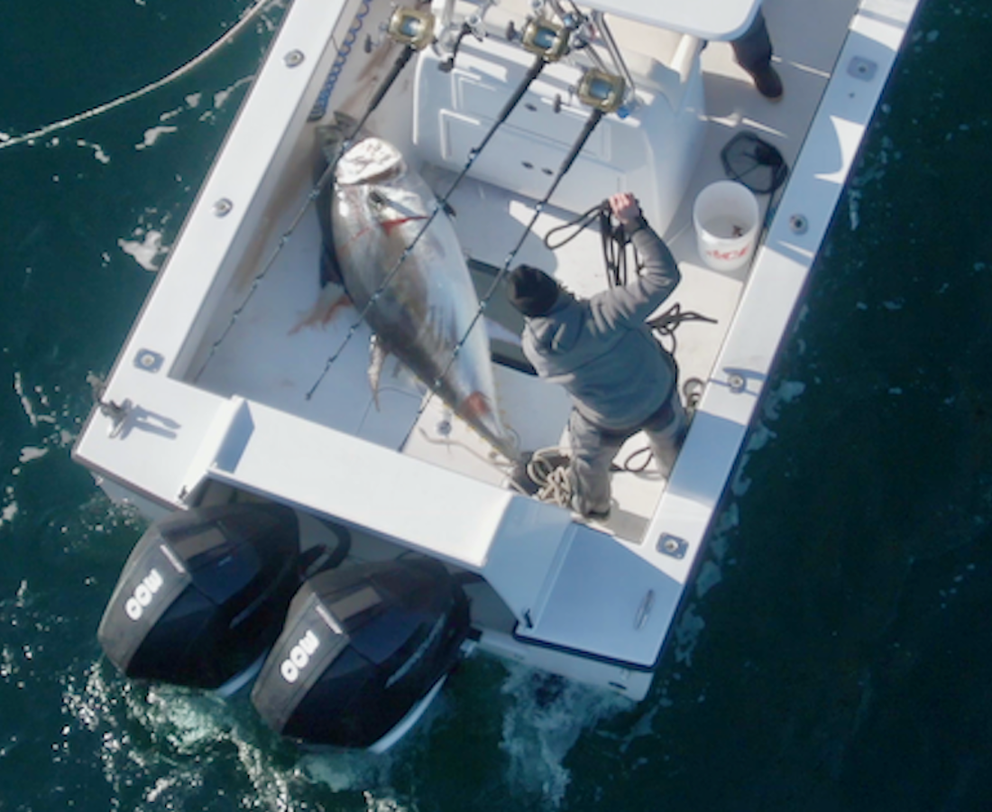 Monday August 31st Giant Bluefin Tuna with Captain Cullen