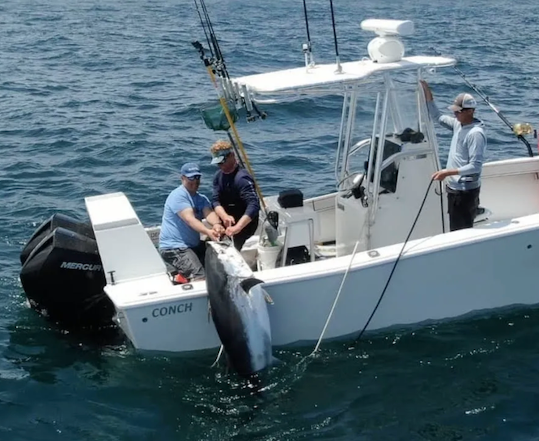 Monday August 31st Giant Bluefin Tuna with Captain Cullen