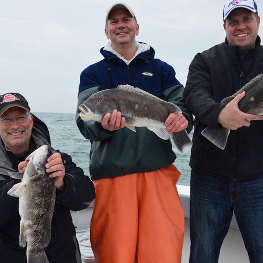 Friday May 8th Tautog with Captain Cullen (Sunrise)