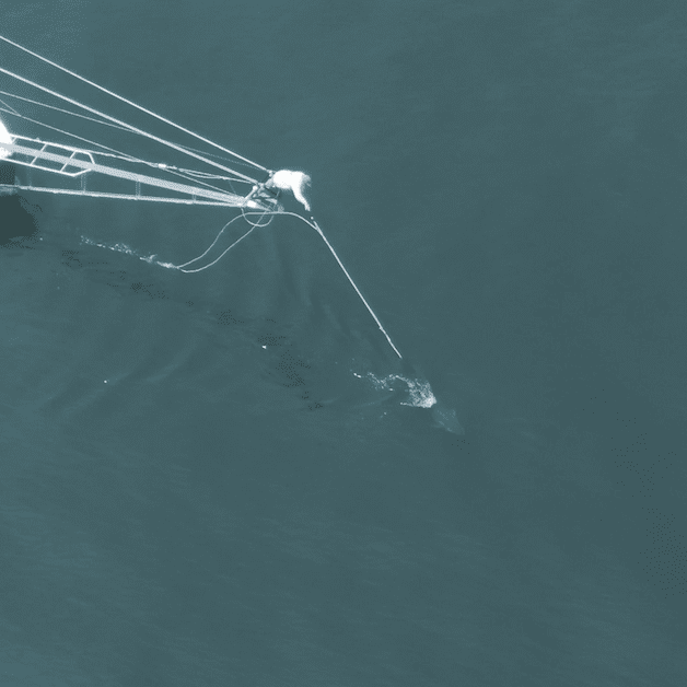 February Tuna Zoominar Series