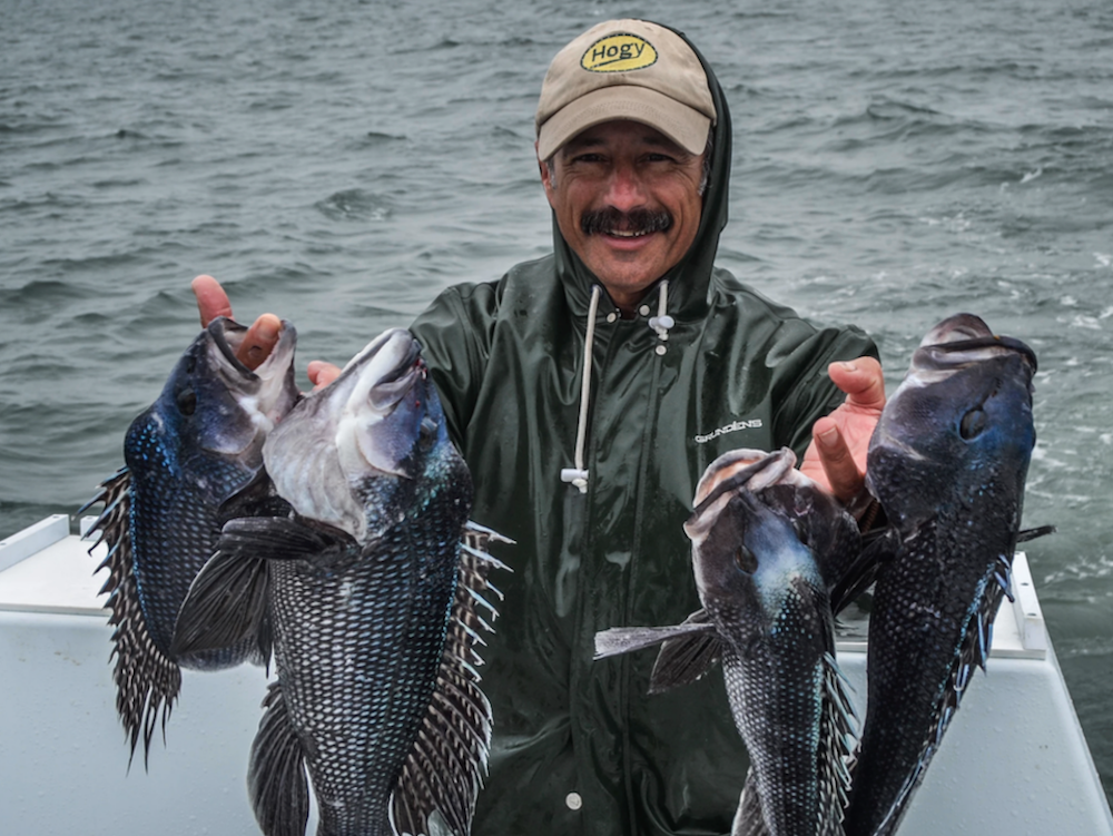 Friday May 22nd Black Sea Bass with Captain Cullen