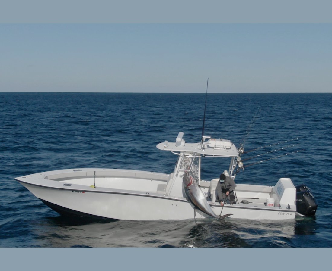 Monday August 31st Giant Bluefin Tuna with Captain Cullen
