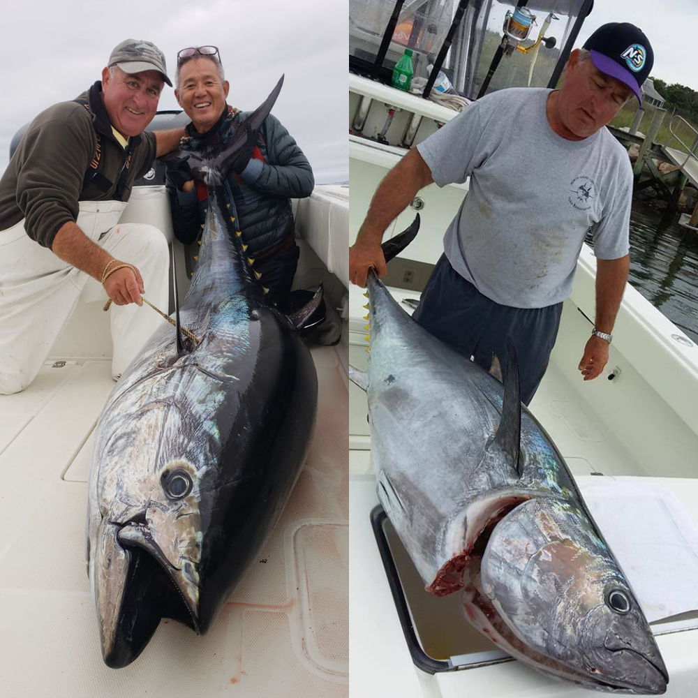 May 4th Tuna Meetup at Fishermen's View with captain Jimmy the Greek