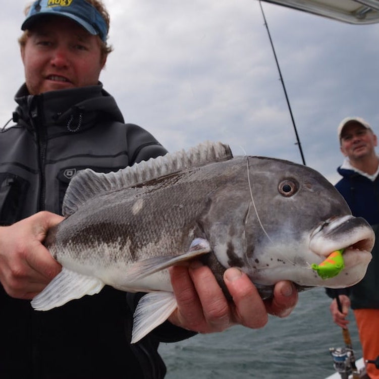 Friday May 1st Tautog with Captain Cullen (Sunrise)
