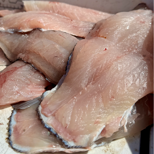 Wednesday October 28th Tautog with Captain Tyler