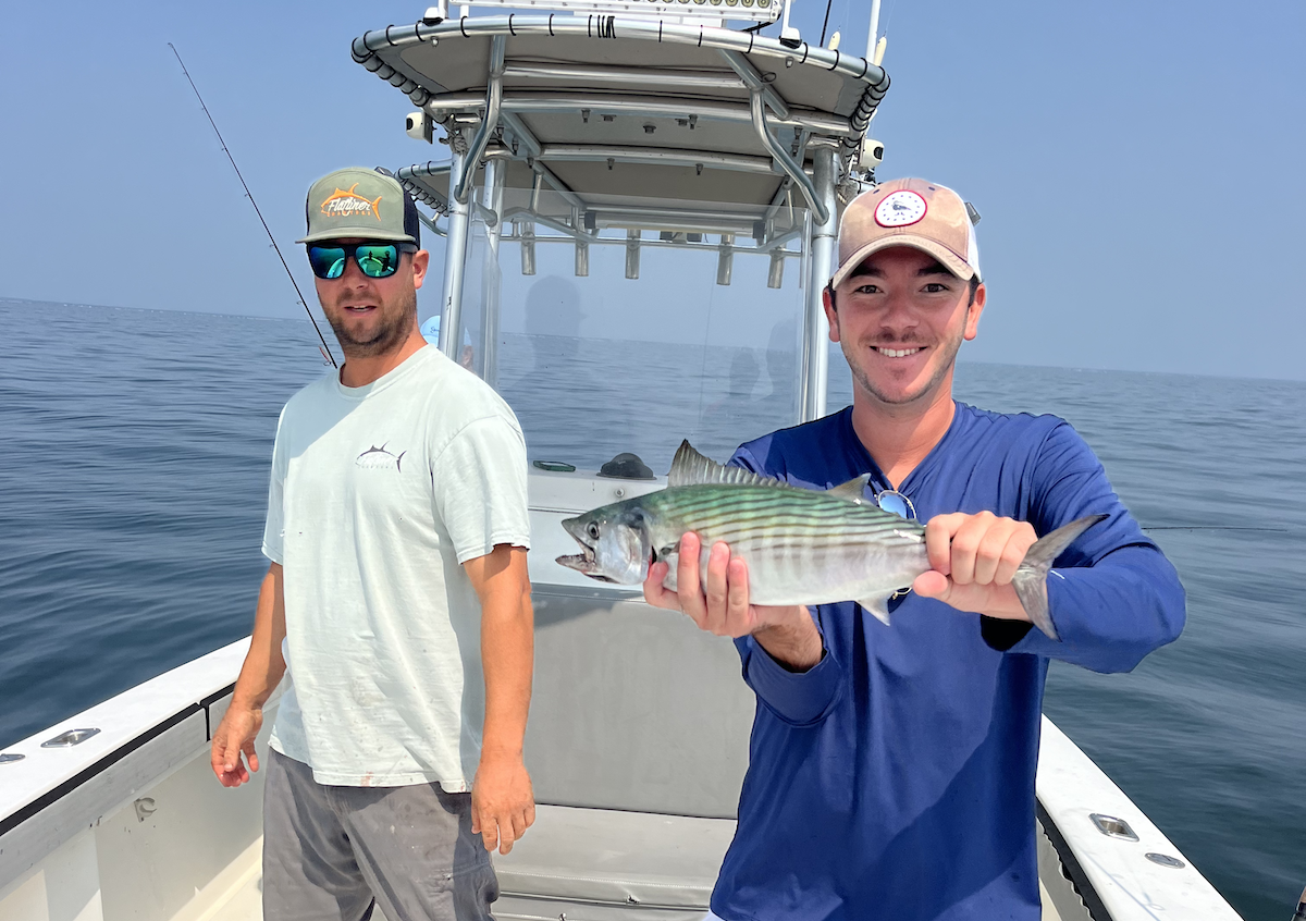Tuesday September 15th Albies & Bonito with Captain Tyler